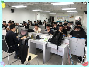 感恩相遇 在黑馬程序員技術交流社區的成長與收獲